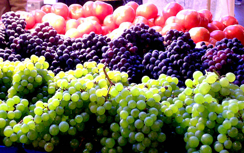 Влияние свойств почвы на виноградное растение, его продуктивность и качество продукции